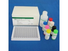 48t/96t 小鼠克拉拉细胞蛋白(CC16)ELISA试剂盒