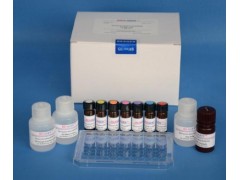 48t/96t 大鼠雌二醇受体(ER)ELISA试剂盒
