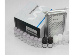 48t/96t 兔子脑钠素/脑钠尿肽(BNP)ELISA试剂盒
