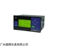 SWP-LCD-R8201-00-23/12-N 小型化无纸记录仪