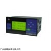 SWP-LCD-R8201-00-23/12-N 小型化無紙記錄儀