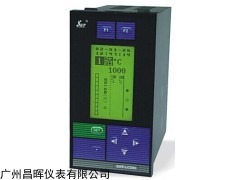 SWP-LCD-NLR802-82-AAG-HL 智能防盗流量积算仪