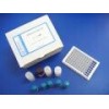 48t/96t 人卵泡抑素(FS)ELISA试剂盒使用说明书