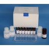 48t/96t 人麻疹病毒(MV)ELISA试剂盒使用说明书