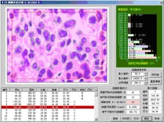 生物分析软件 生物图像分析软件