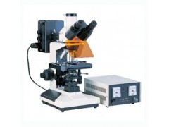 ML2000 落射荧光显微镜