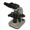 LW50-504HB 双目生物显微镜