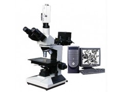 MLT-3300C 透反射金相显微镜
