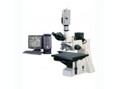 MLT-5500C 大平台金相显微镜