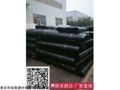 0.8公分-6公分 天津塑料疏水板-20高3公分排水板定制