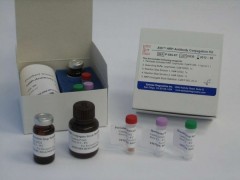 48t/96t 大鼠抗凝血酶Ⅲ抗体(AT-Ⅲ)ELISA 试剂盒