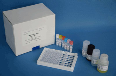 人血管生成素4(ANG-4)ELISA试剂盒操作说明