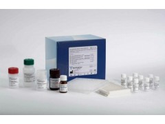 48t/96t 兔子皮质醇(Cortisol)ELISA 试剂盒