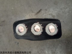 YVVB3*16扁型电力电缆生产销售