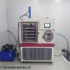 CTFD-20S中试型冷冻干燥机 药物原位冻干机