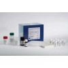 48t/96t 小鼠心钠肽(ANP)ELISA试剂盒使用说明书
