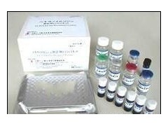 48t/96t 小鼠6酮前列腺素(6-K-PG)ELISA试剂盒