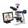 MIT500 黑龙江正置金相数码显微镜推荐