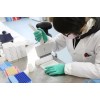 48t/96t 大鼠组织因子(TF)ELISA试剂盒使用说明
