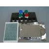 48t/96t 豚鼠丙二醛(MDA)ELISA試劑盒使用說明書