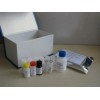 48t/96t 人血红蛋白C(HbC)ELISA试剂盒说明书价格
