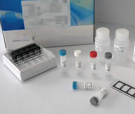 小鼠干扰素(IFN)ELISA试剂盒使用说明书