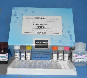 犬胰岛素受体β(ISR-β)ELISA试剂盒操作步骤