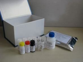 人发动蛋白2(DNM2)ELISA试剂盒使用说明书