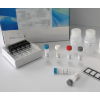48t/96t 人类粘蛋白(ORM)ELISA试剂盒使用说明书
