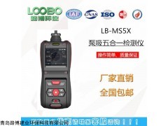 LB-MS5X 泵吸五合一多气体检测仪 参数 厂家报价