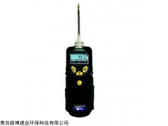 美国华瑞PGM-7340  ppbRAE 3000 VOC检测仪