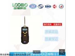 ppbRAE 3000  VOC检测仪 PGM-7340 路博销售