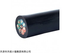 天津QXWF-J7*0.5行车橡套电缆