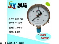 YH-100 氢气压力表