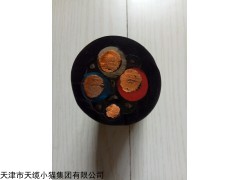 广东CEFR船用橡套电缆用途