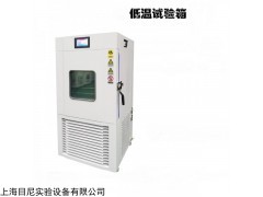 DW-50 低温试验箱