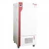 BIC-250人工氣候箱 植物環境氣候恒溫培養箱