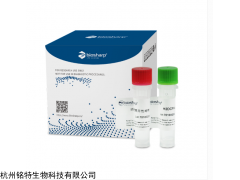 Biosharp ROS活性氧检测试剂盒