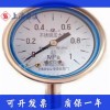 Y-60不銹鋼壓力表（上海自動化儀表四廠）
