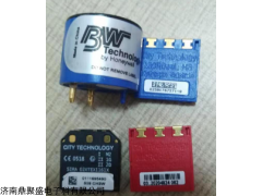 bw上海BWMCXL气体检测仪故障维修