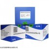 HR8834 冰冻切片活性氮(RNS)检测试剂盒