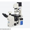 NIB900倒置生物显微镜