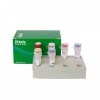 022032M 杏仁源性成分核酸检测试剂盒