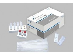 48t/96t 人活化素A(Activin-A)ELISA试剂盒价格