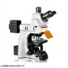 NE950 研究级别荧光显微镜