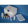 48t/96t 人白细胞分化抗原30(CD30)ELISA试剂盒