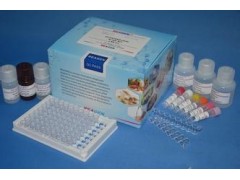 48t/96t 兔吡啶交联物(PY)ELISA试剂盒