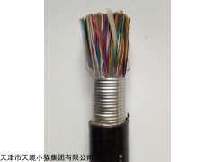MHYA32矿用通信电缆-10-100对价格