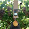 GY-4数显式果实硬度计 水果成熟程度硬度仪