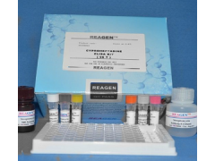 48t/96t 小鼠醛固酮(ALD)ELISA试剂盒使用说明书